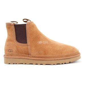Men's Neumel Chelsea Chestnut