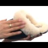 Женские тапочки Coquette Slipper Chestnut